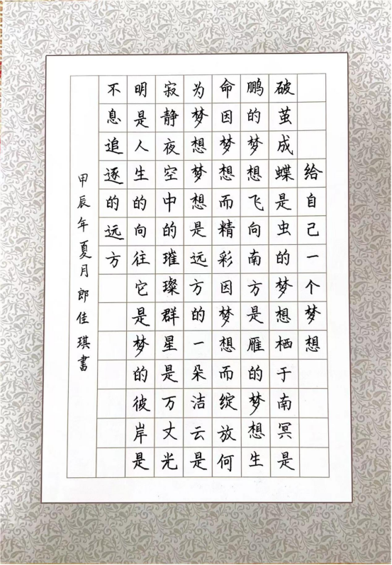 图为来自河北的郎佳琪创作的书法作品《给自己一个梦想》。.png