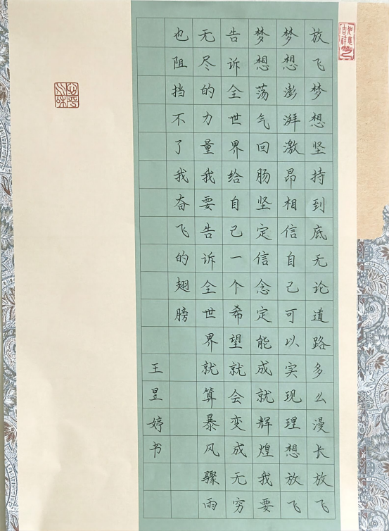 图为来自甘肃的王昱婷创作的书法作品《为理想而奋斗》。.png