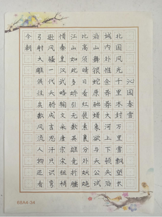 图为来自甘肃的窦雪莹创作的书法作品《沁园春·雪》。.png